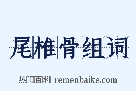 尾椎骨组词是什么意思的图片